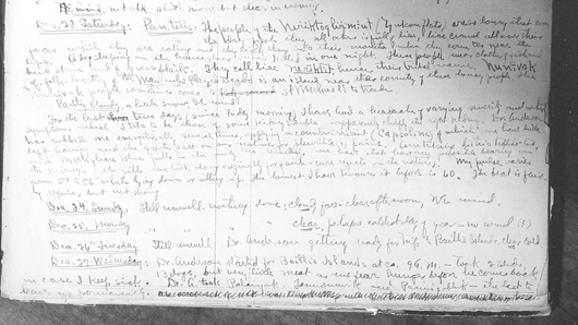 Stefansson's diary entry about Pannigabluk's departure