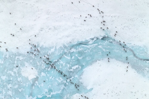 Hot Bodies in Cold Zones: Arctic Exploration